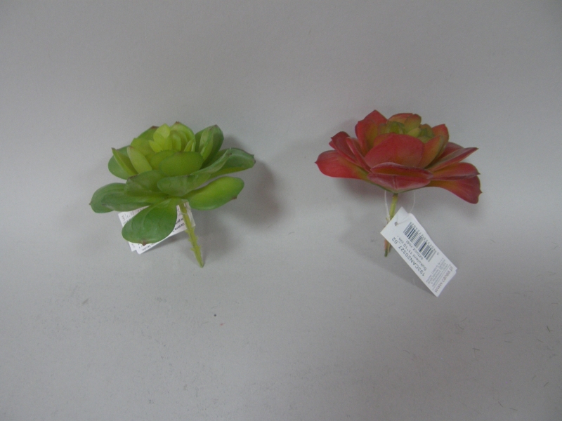 Proiect test
