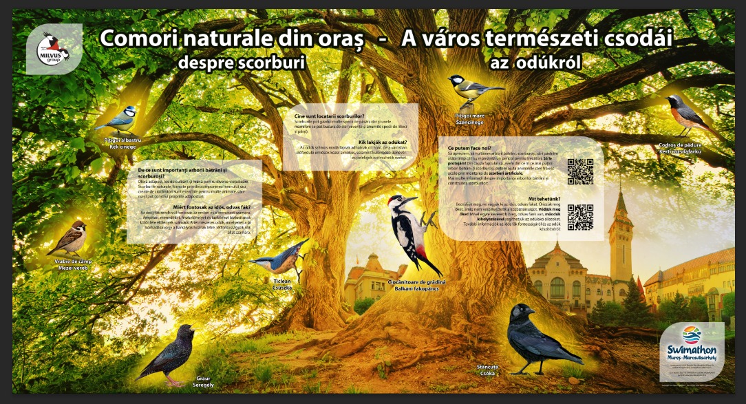 Natura din oraș, responsabilitatea noastră comună