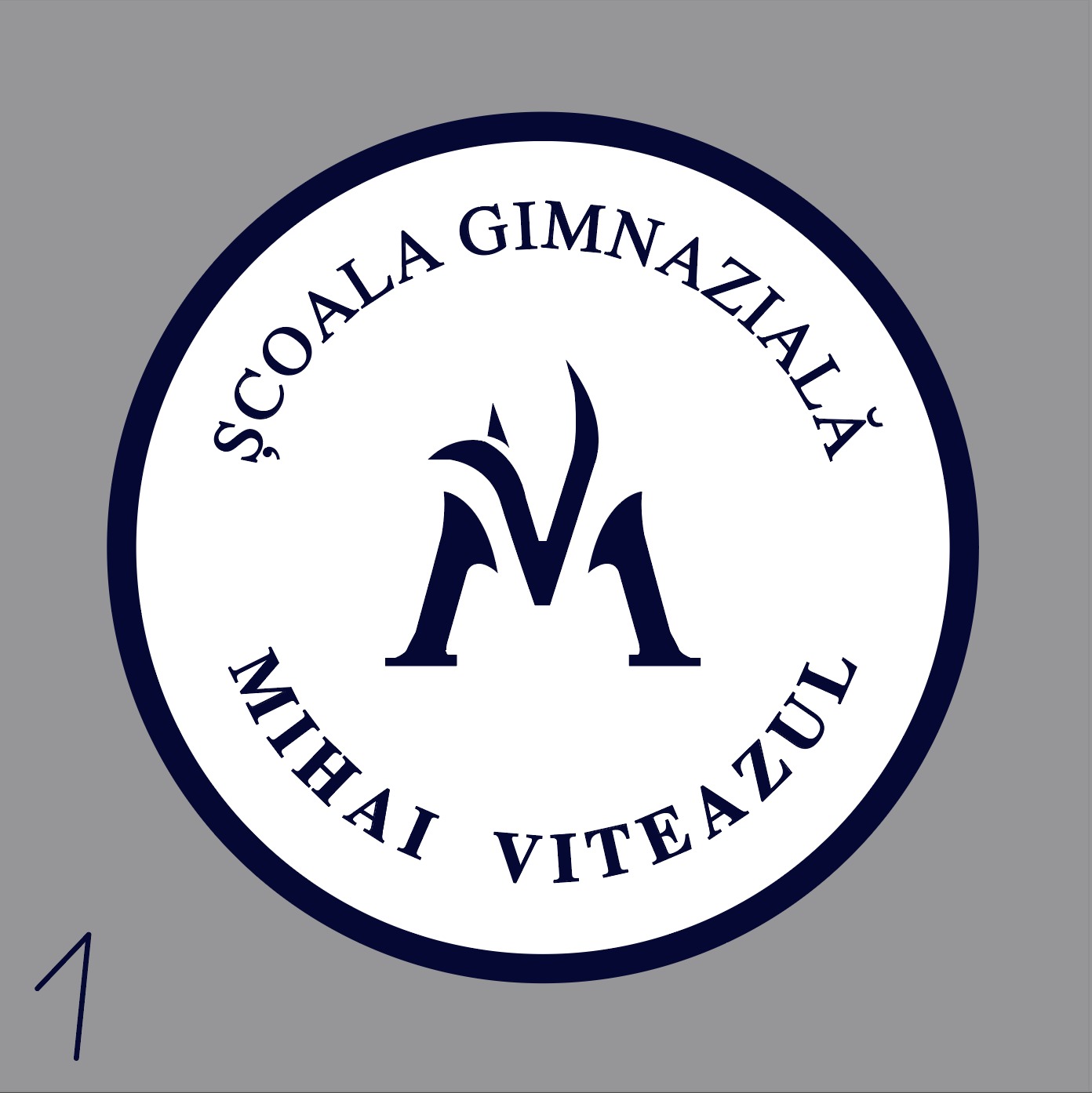 Scoala Gimnaziala Mihai Viteazul